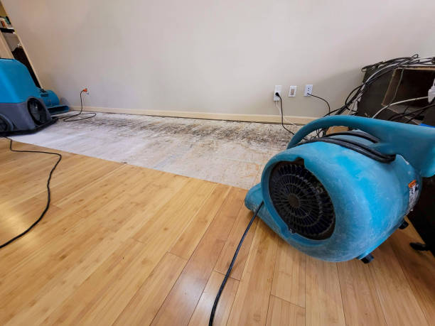 Professional Sewage Cleanup technician working in Palmyra, TN